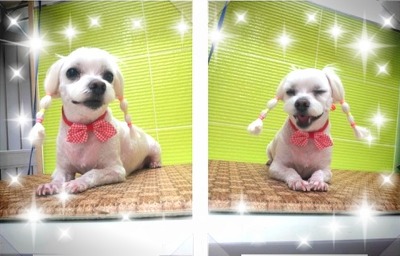 엔디 이미지