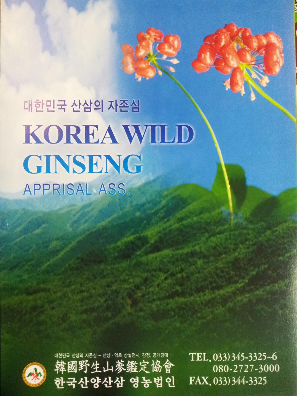 산삼정 이미지