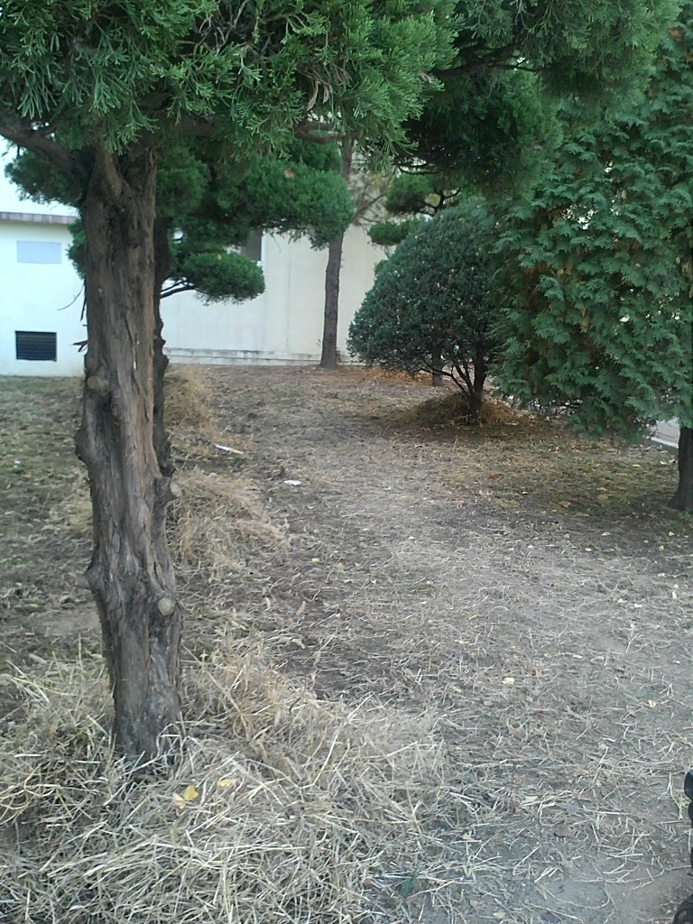 사직중학교 이미지