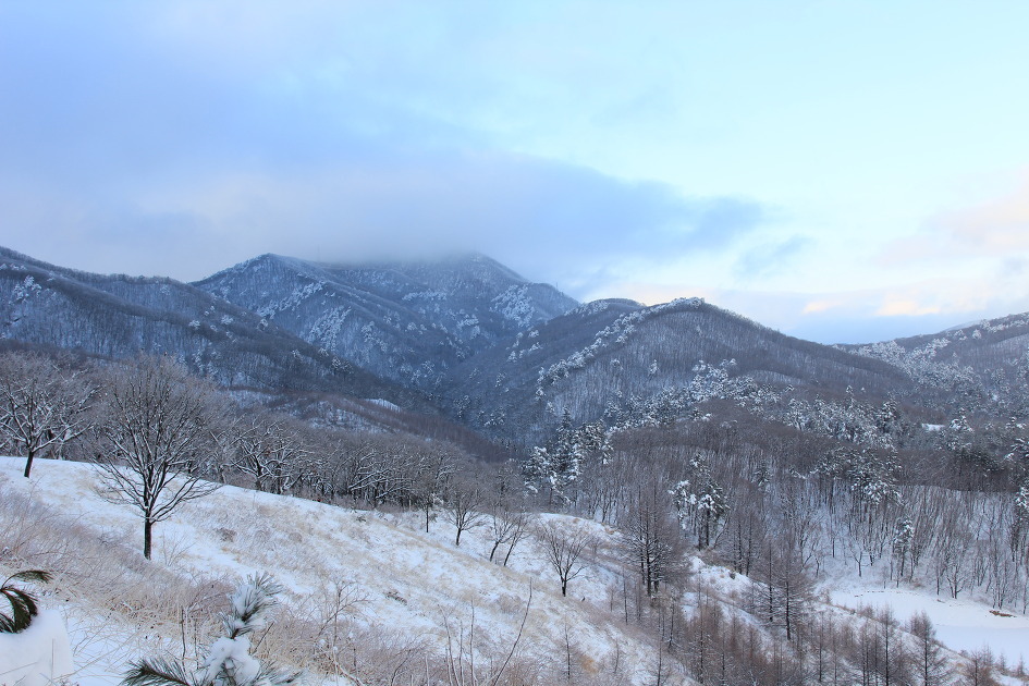 왕산골식당 이미지