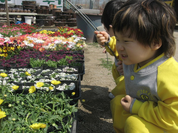 샛별화원 이미지