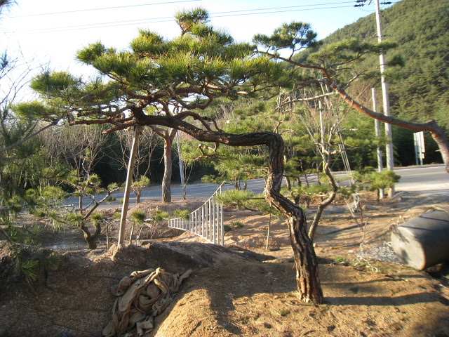지리산농장 이미지