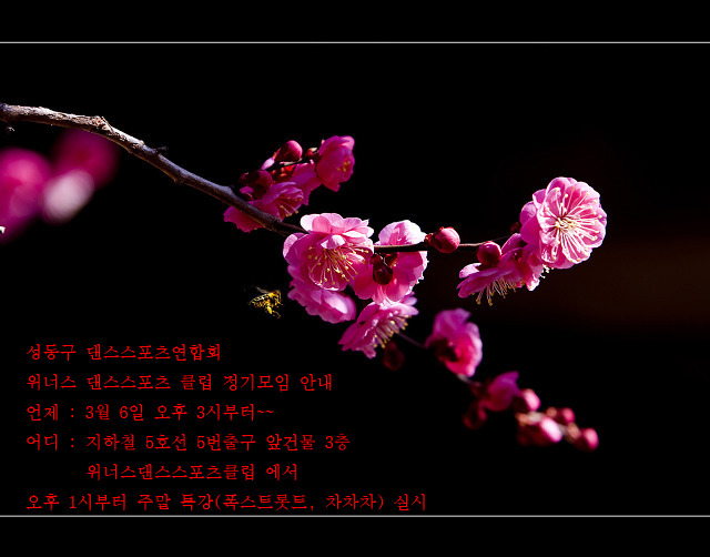 위너스아카데미 이미지