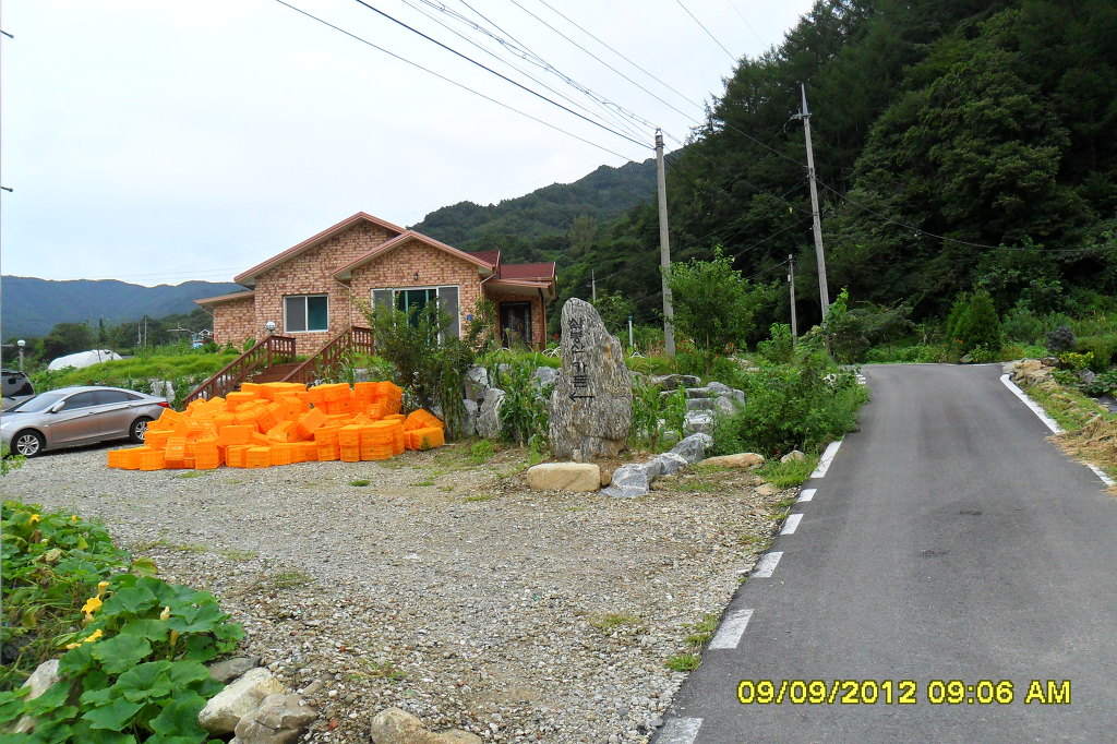 지교대호 이미지