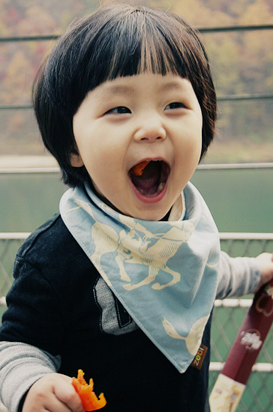 박*석 이미지