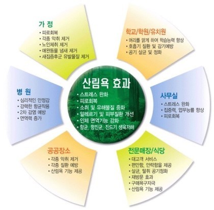 푸른숲청소 이미지