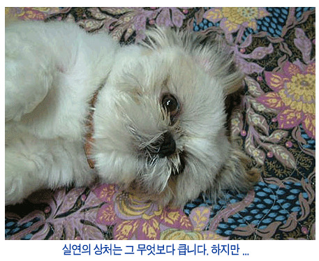 훅 이미지