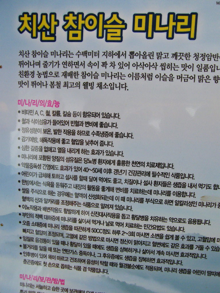 치산미나리 이미지