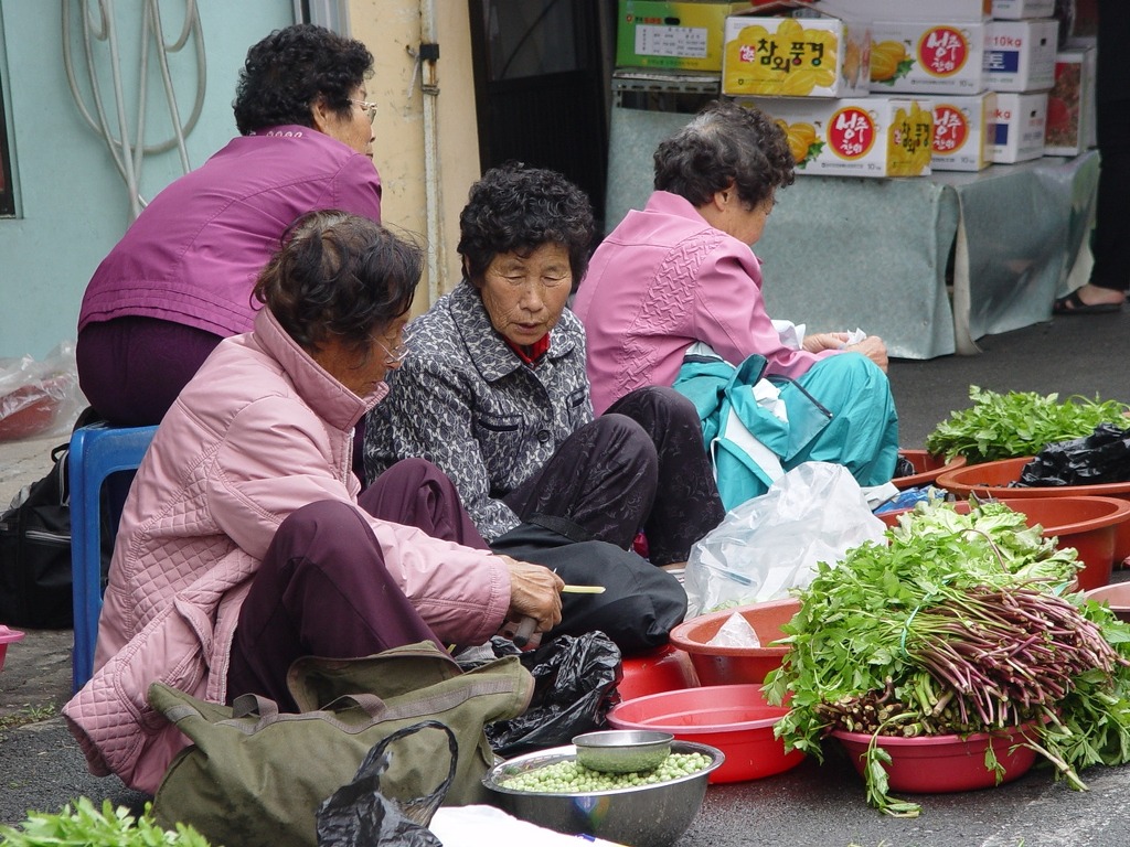 완도스케치 이미지