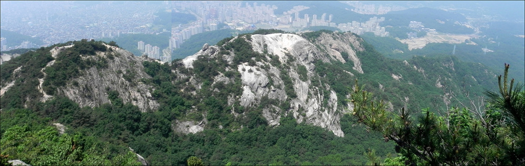 선림 이미지