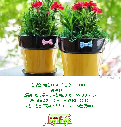 인생은알콜이야 이미지