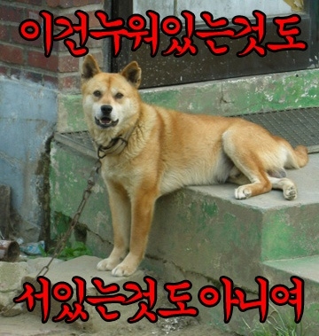 키득키득 이미지
