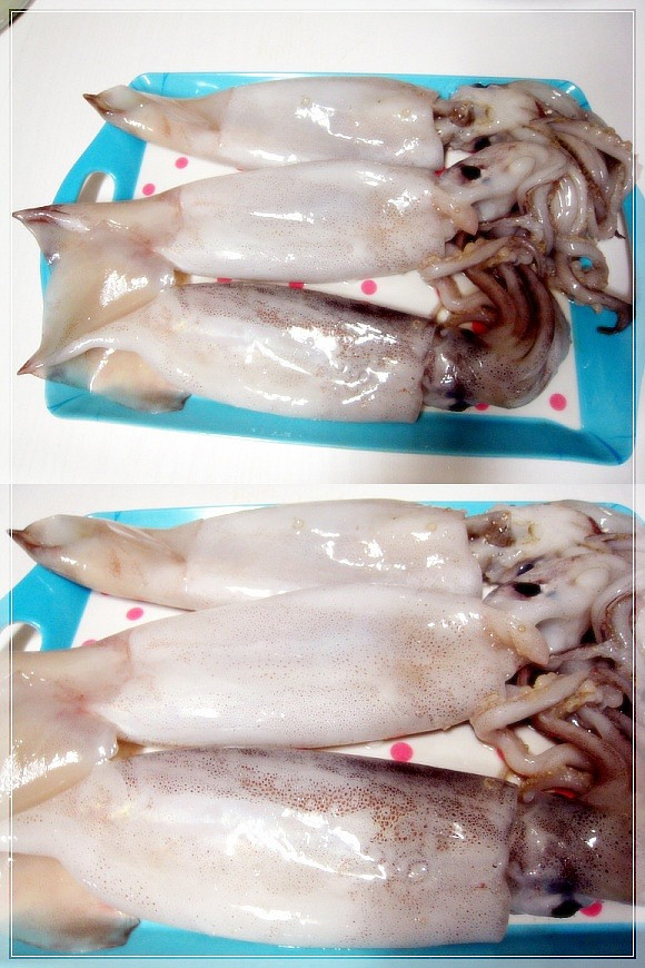 통통한오징어 이미지