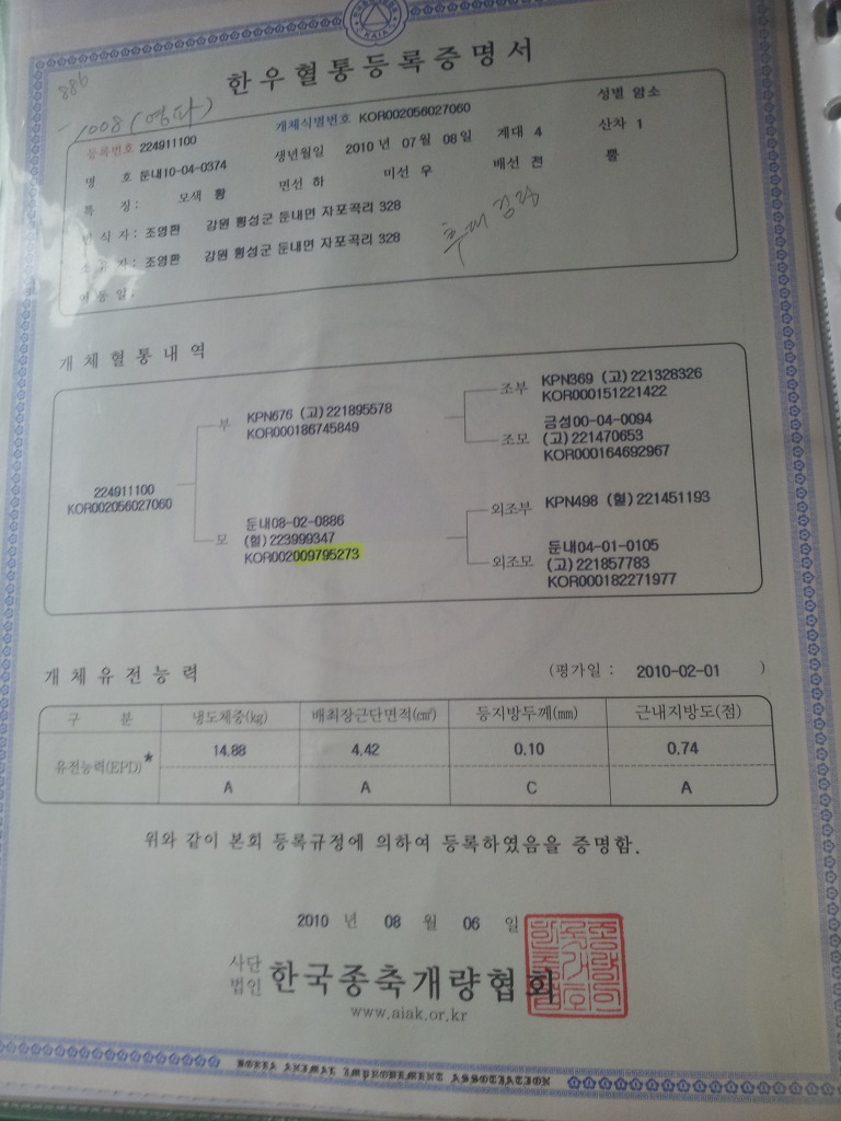 둔내농장 이미지