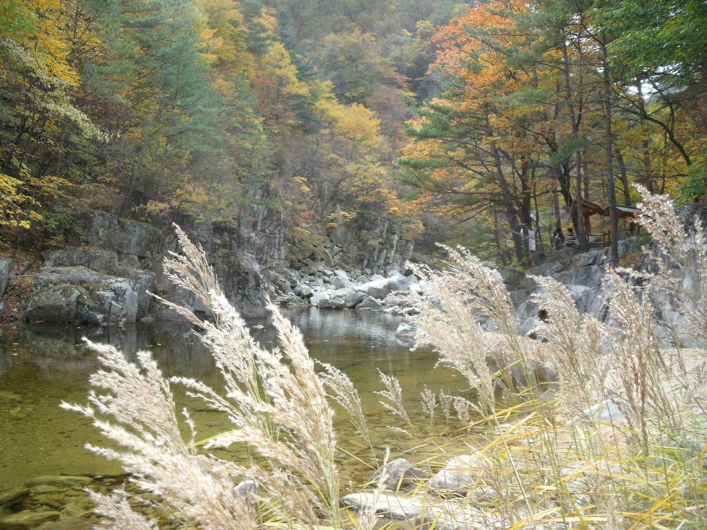 산들바람 이미지