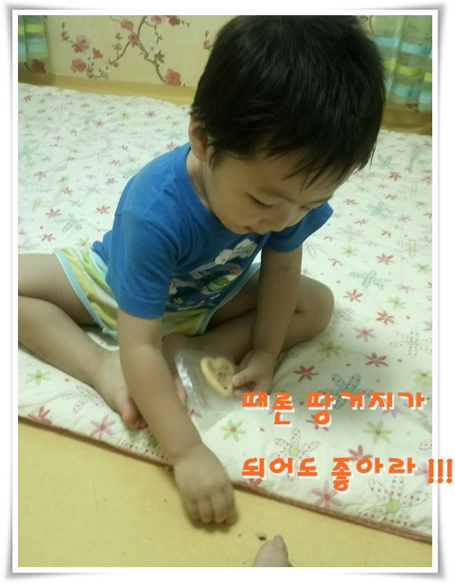 설탕별 이미지