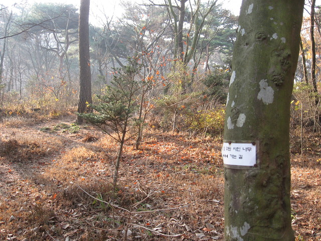 오*규 이미지