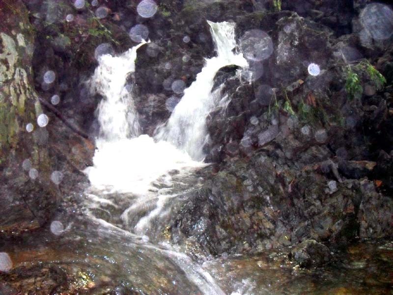 발교산산장 이미지