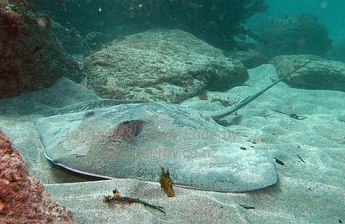 1368A54C4D4EB45F22ECC0