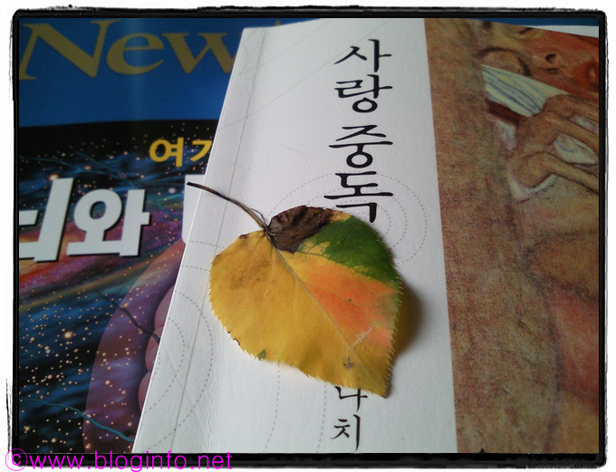 삼거리슈퍼 이미지