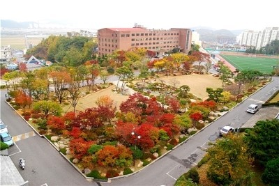 괴목 이미지