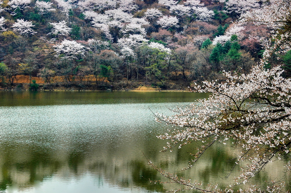 희원 이미지
