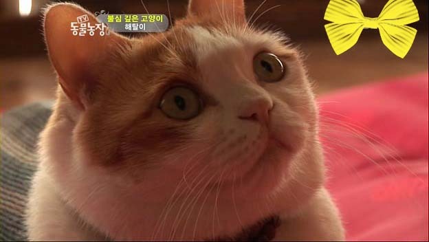 상귀농장 이미지