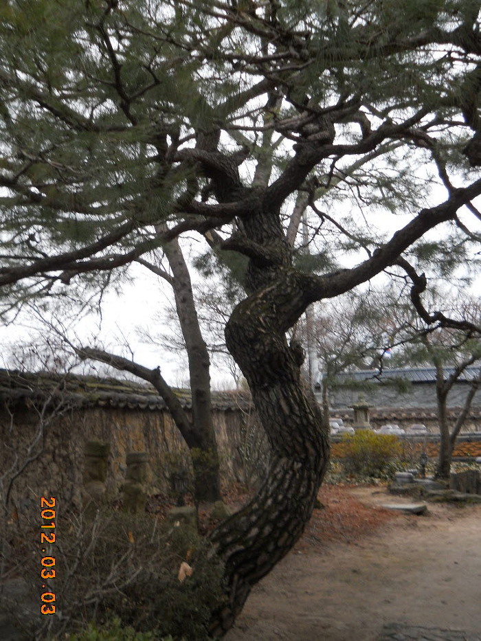 만석군 이미지