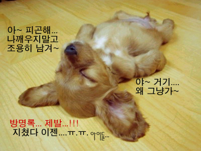 욤 이미지