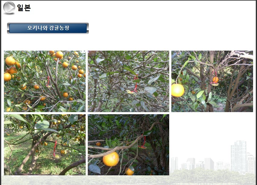 (주)네이처닥터 이미지