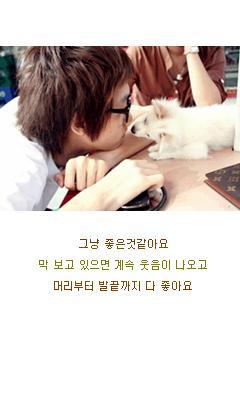 징어야징어야 이미지