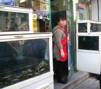 본가국수 이미지