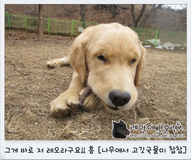 지우유리 이미지
