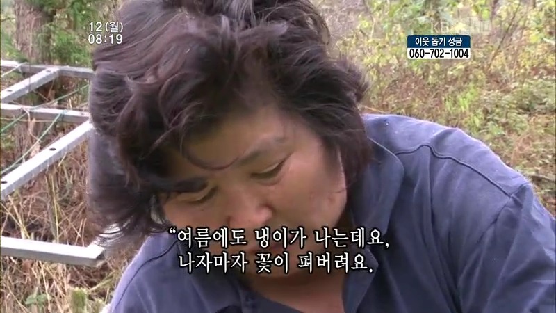 [인간극장] 우리 엄마는 할머니 1부 (감자 주의보 발령!!!) | 인스티즈