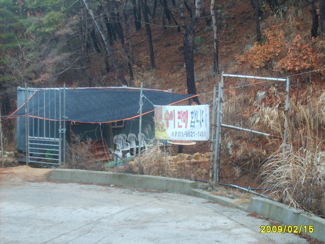 영산식당 이미지