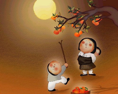 보 이미지