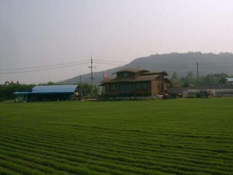 천등밥상 이미지