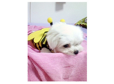 예쁜누리 이미지