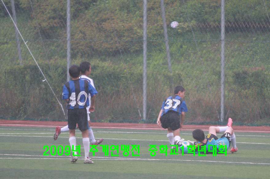백양중학교 이미지