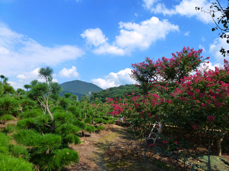지산조경 이미지