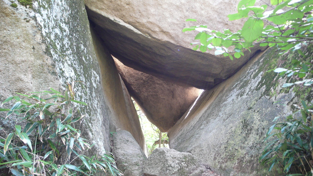 산드레 이미지