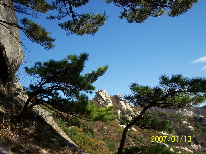 미디한 이미지