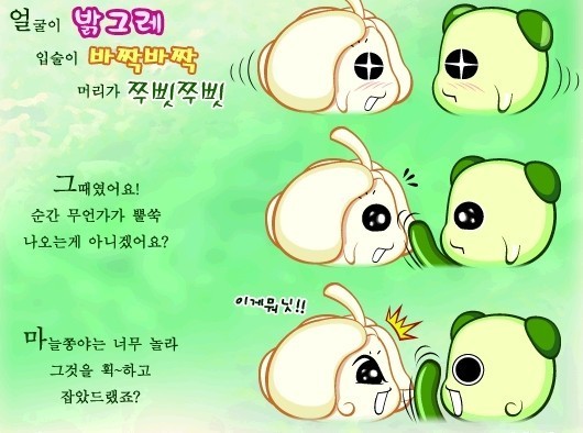 모지 이미지