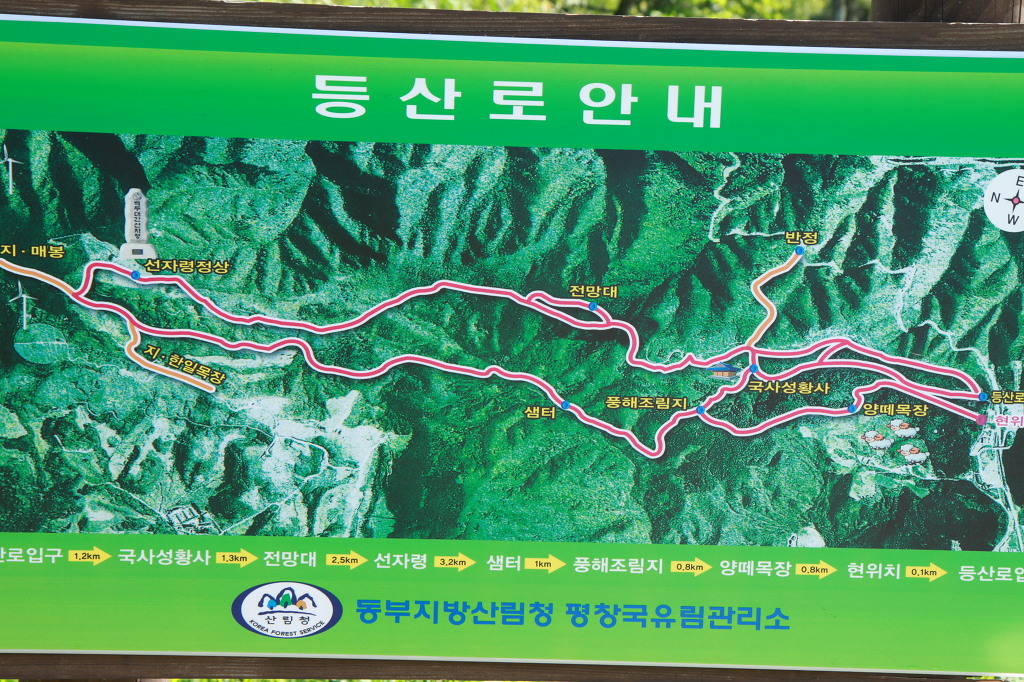 대관령축산 이미지