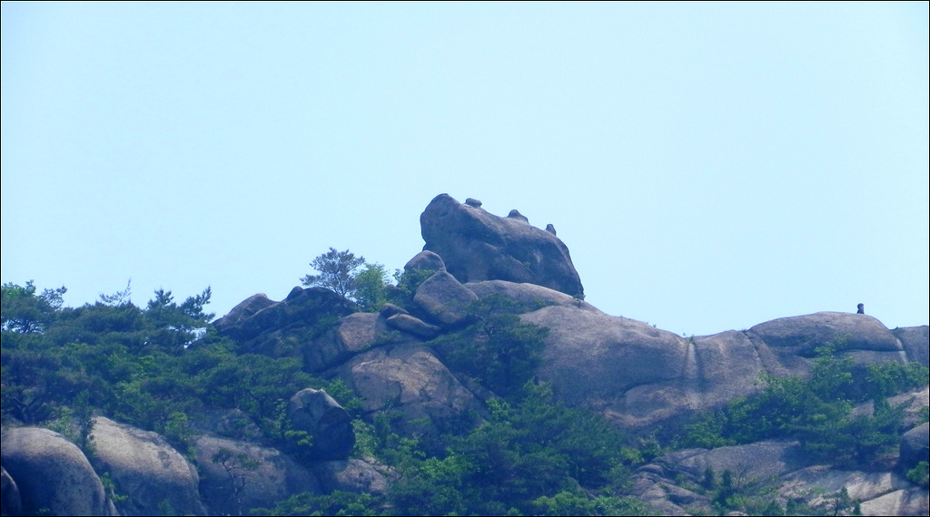 선림 이미지