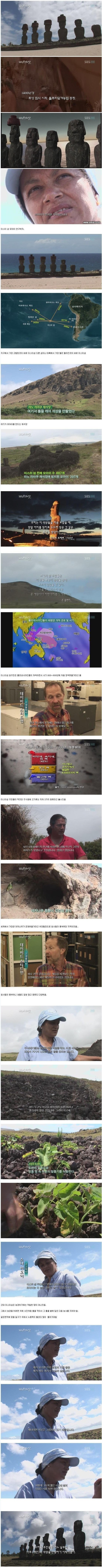 이스터섬이 멸망한 이유는 모아이 때문이다 | 인스티즈