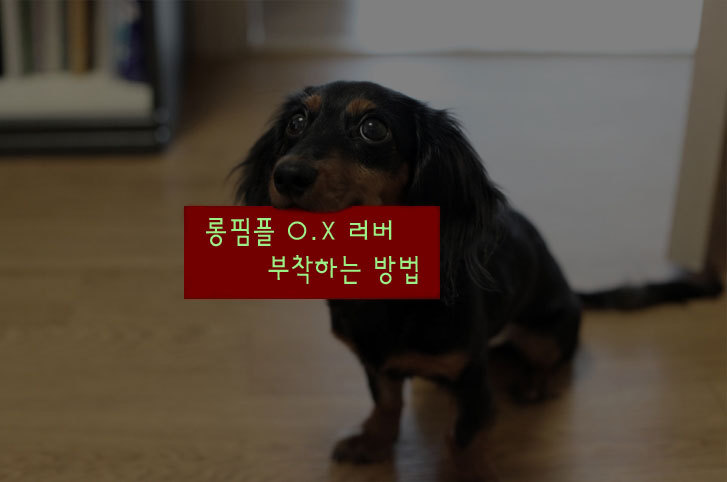 디텍스 이미지