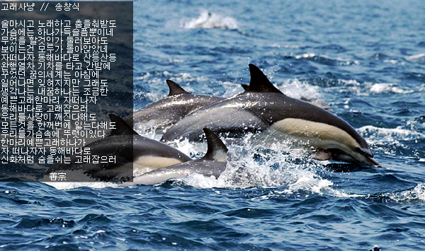 고래사냥 이미지
