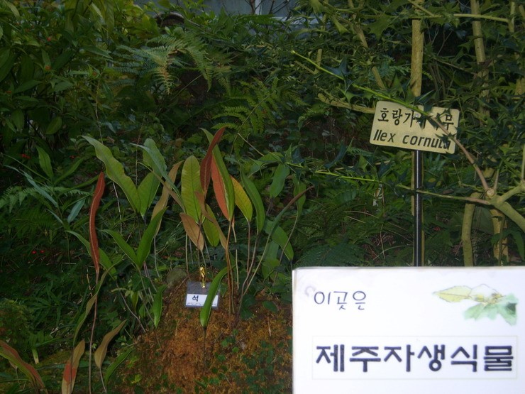 한라1950 이미지