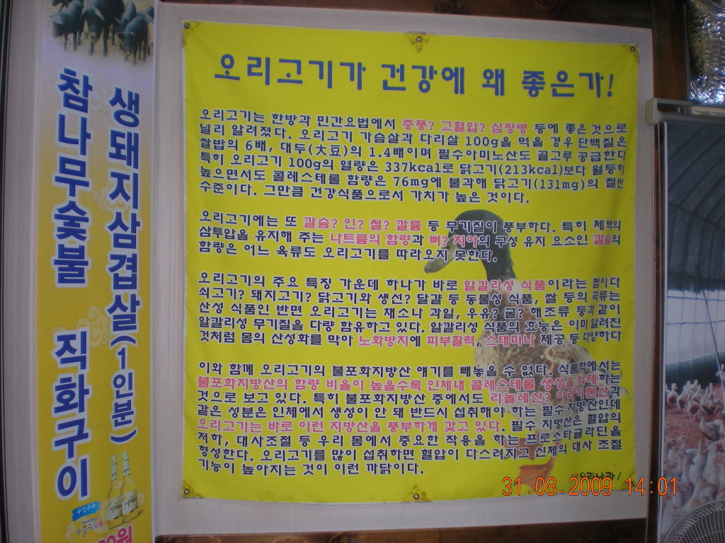 오리나라 이미지